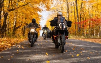 Riding Tips for Fall